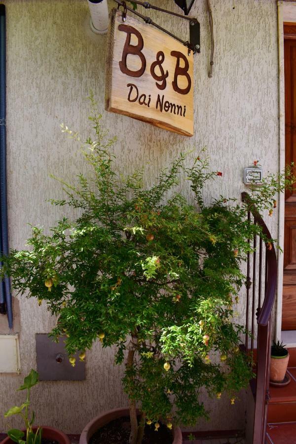 Dai Nonni, B&B A קייטי מראה חיצוני תמונה